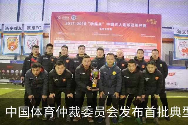 中国体育仲裁委员会发布首批典型案例