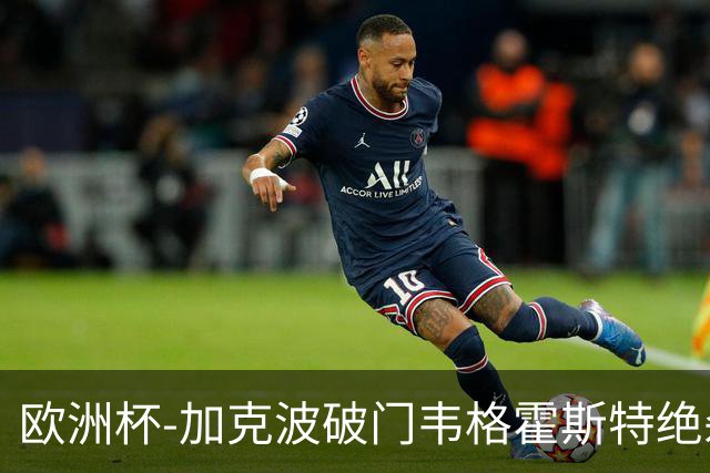 欧洲杯-加克波破门韦格霍斯特绝杀 荷兰2-1波兰