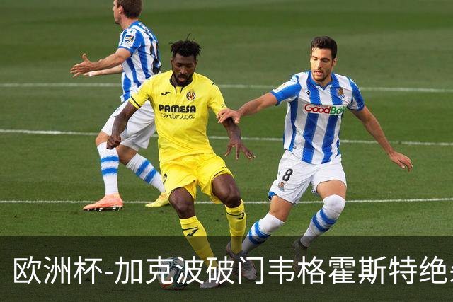 欧洲杯-加克波破门韦格霍斯特绝杀 荷兰2-1波兰